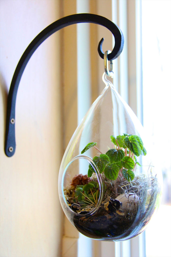 Diy Terrarium
 DIY easy and simple terrarium easy arts and crafts ideas