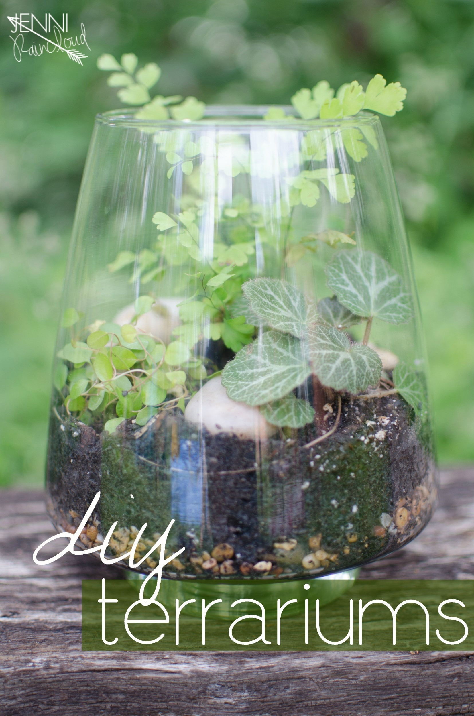 Diy Terrarium
 Gorgeous DIY Terrariums Jenni Raincloud