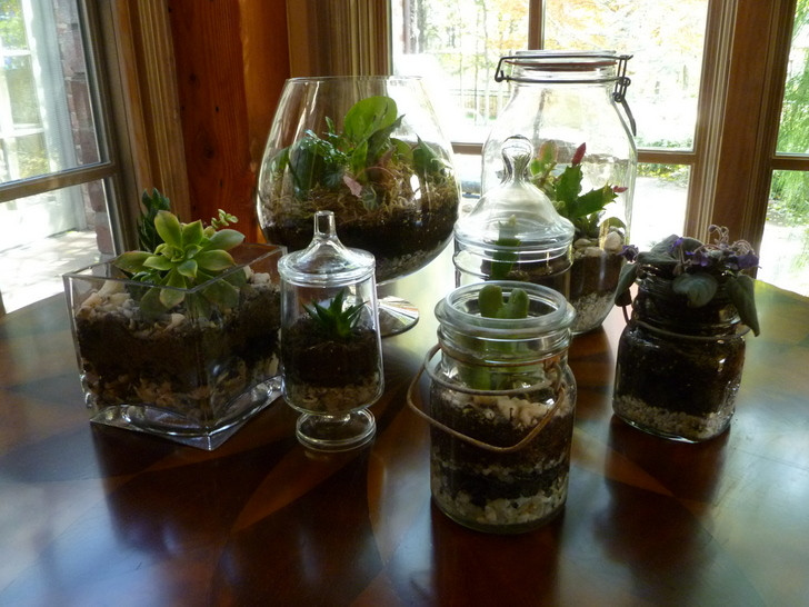 Diy Terrarium
 DIY How to make your own green terrarium to keep or give