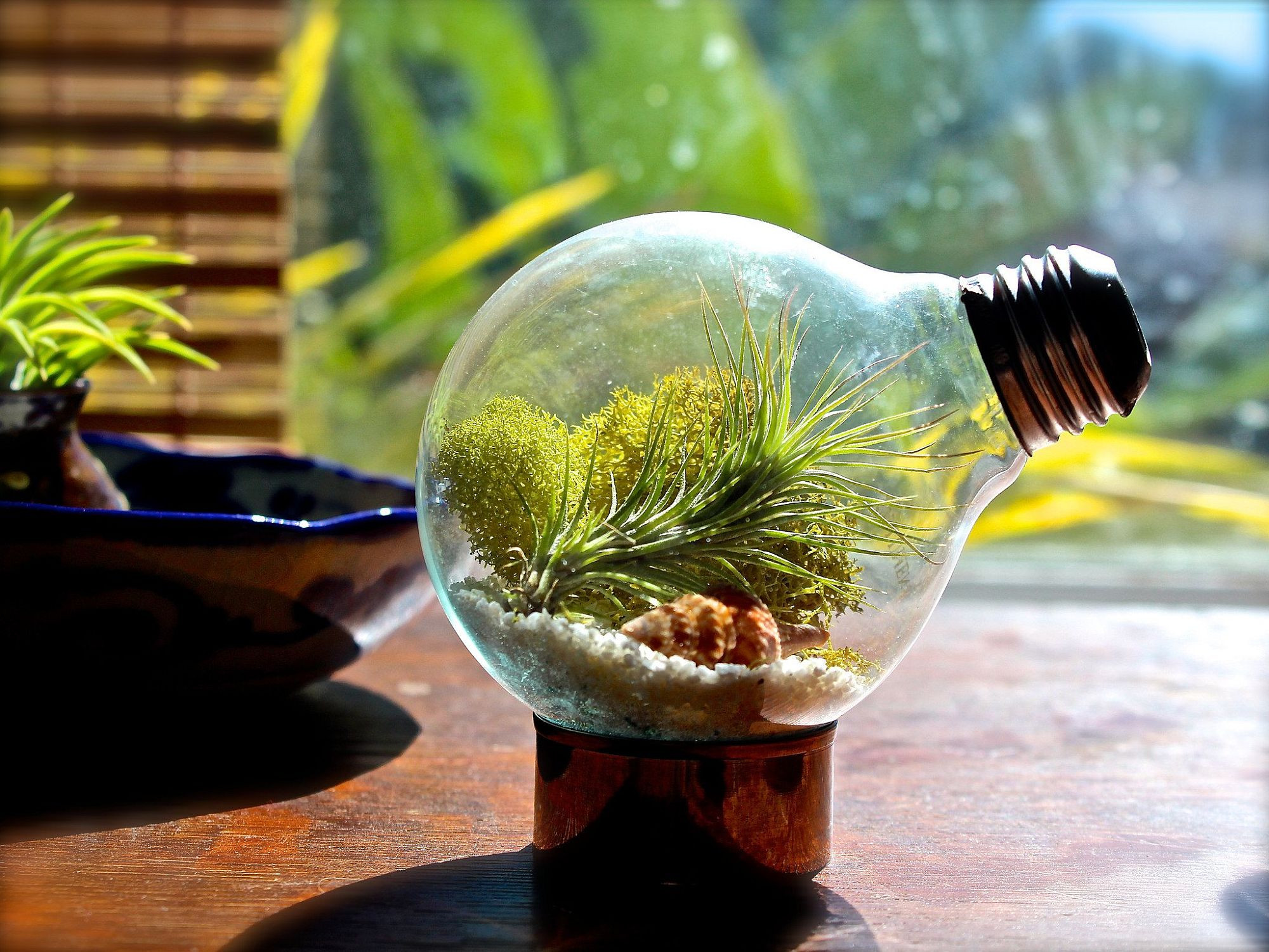 Diy Terrarium
 15 Delightfully Diverse DIY Terrarium Ideas Tiny Green