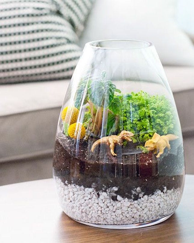 Diy Terrarium
 Weekend Project Alert 20 DIY Terrariums to Inspire You