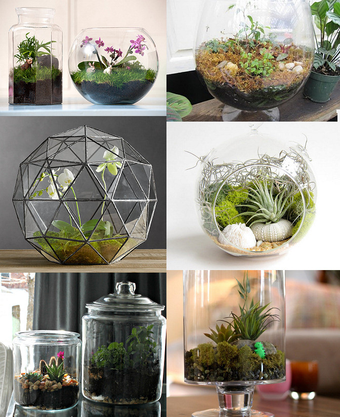 Diy Terrarium
 DIY Terrariums – DIY and Tutorial Links