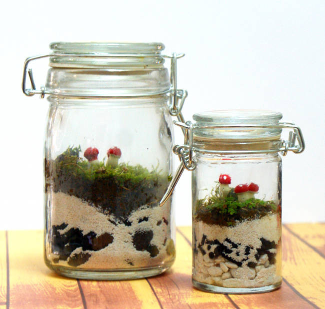 Diy Terrarium
 indoor gardening Archives Soap Deli News