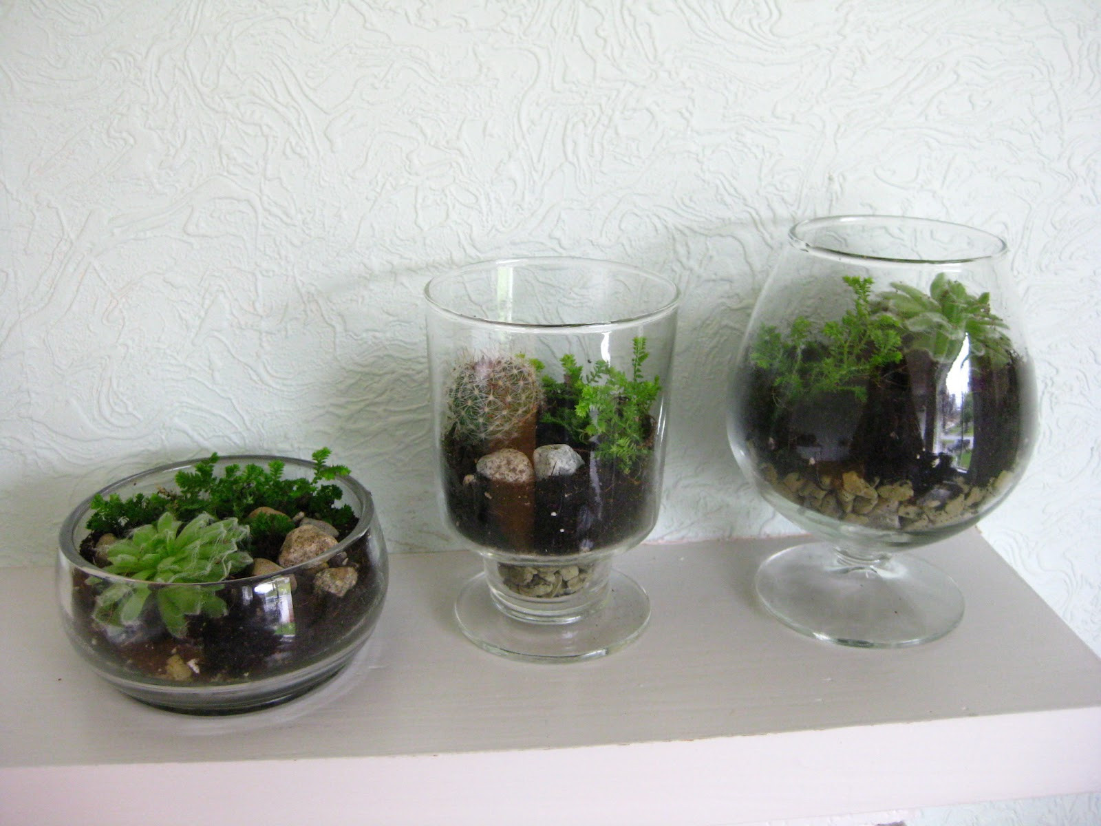 Diy Terrarium
 Life Designed DIY Terrariums With Thrift Store Vases