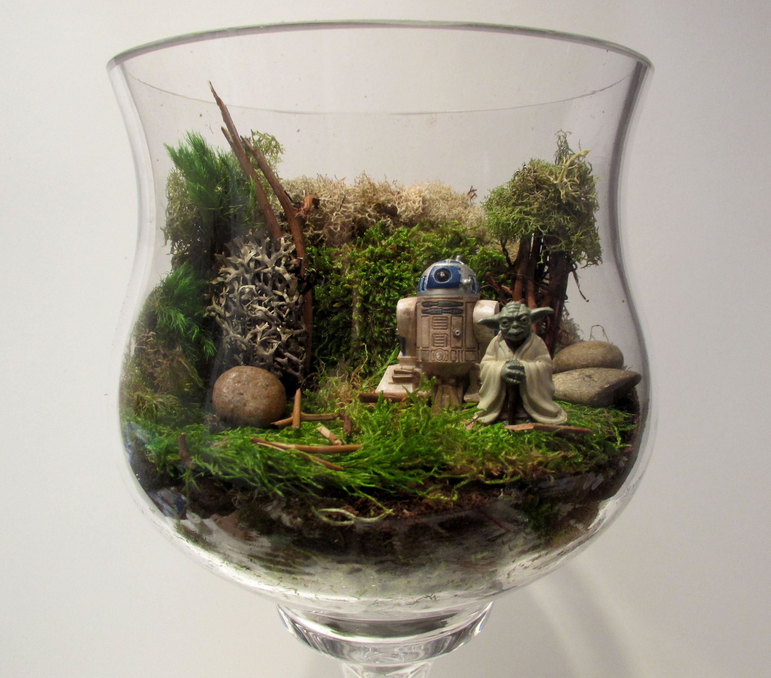 Diy Terrarium
 DIY Star Wars Terrarium Thanksgiving Centerpiece