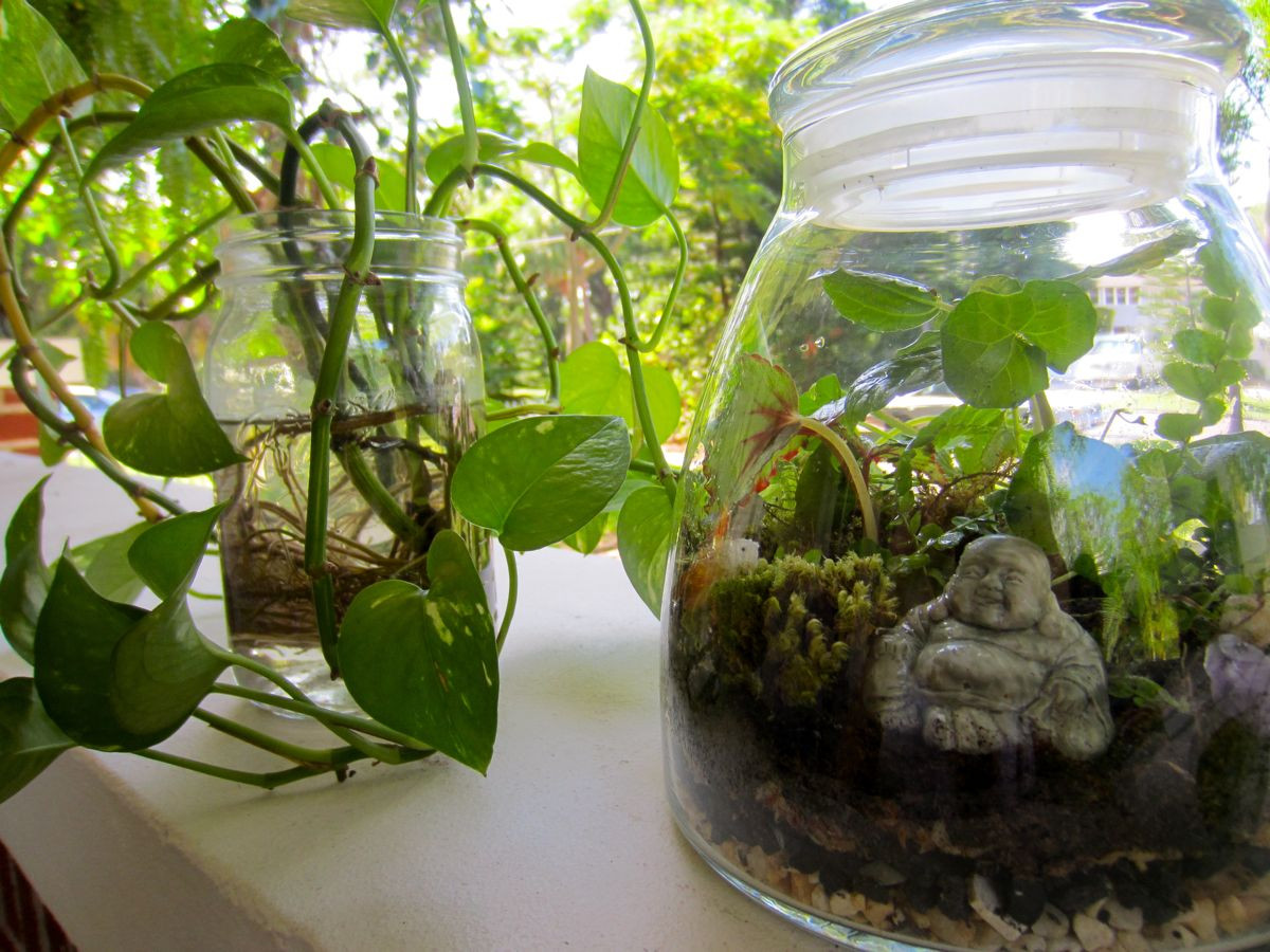 Diy Terrarium
 DIY Terrarium Tutorial The Journey Junkie