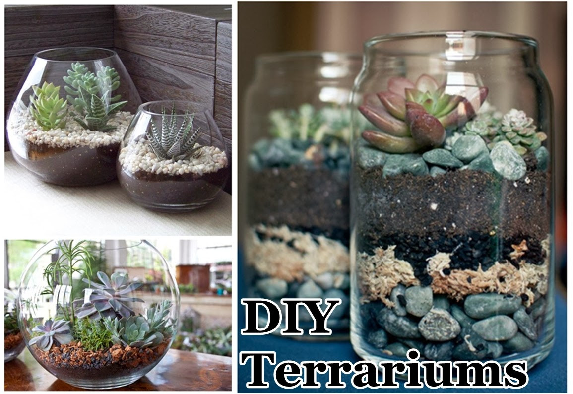 Diy Terrarium
 DIY Terrariums DIY Craft Projects