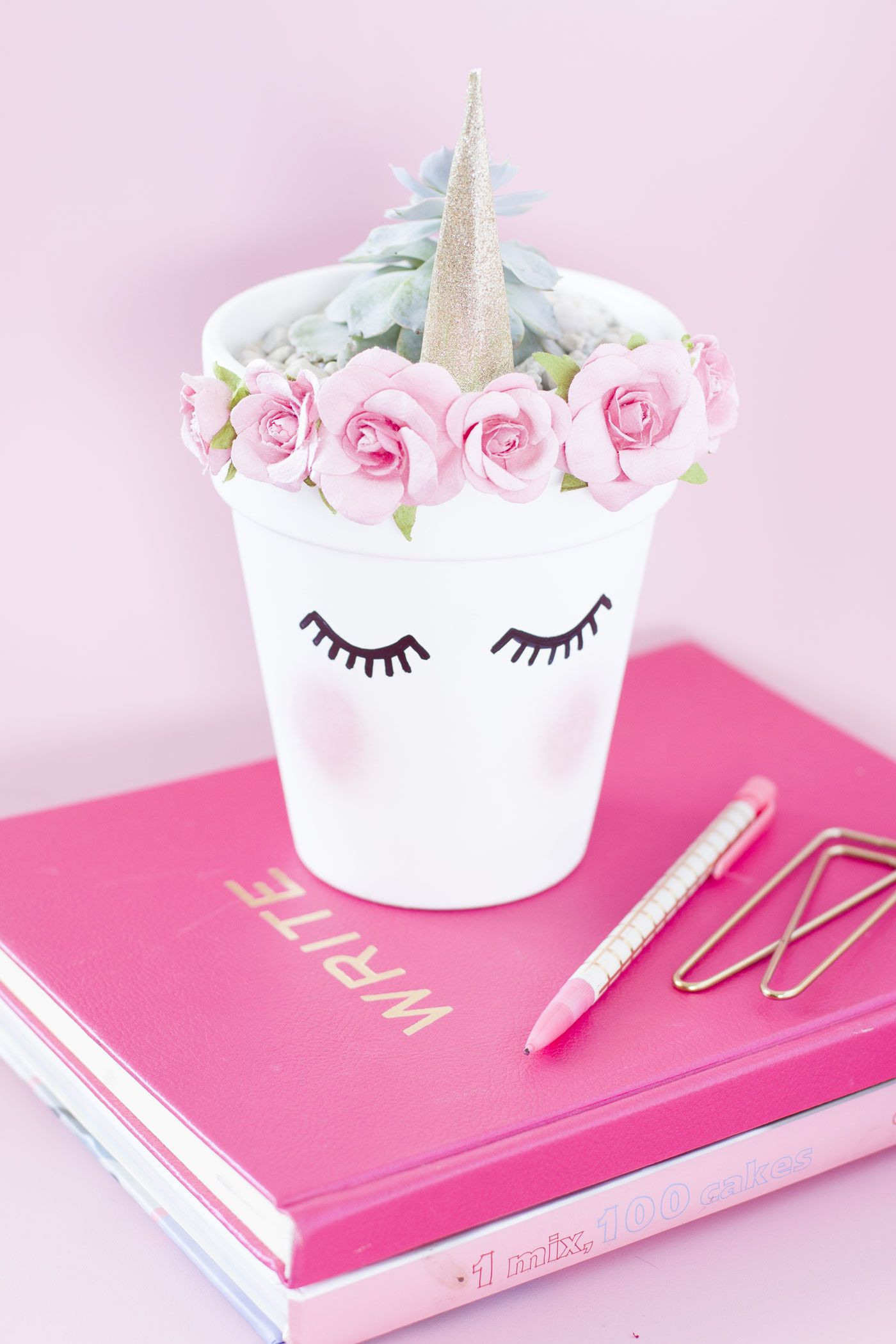 Diy Unicorn
 DIY Unicorn Planter