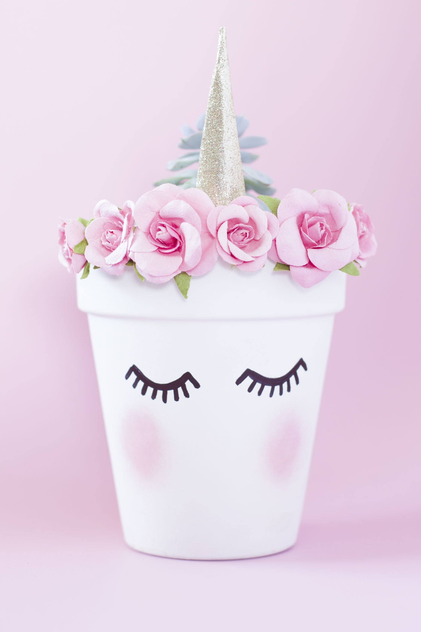 Diy Unicorn
 DIY Unicorn Planter