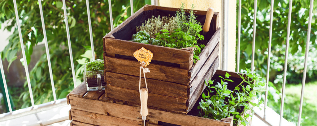 Diy Weinkisten
 DIY Kräutergarten aus Weinkisten für den Balkon • Always