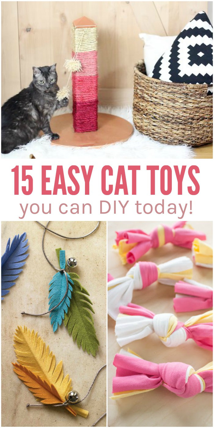 Easy Diy
 15 Easy DIY Cat Toys You Can Make for Your Kitty TODAY