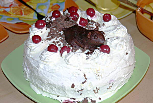 Einfache Geburtstagstorte
 Geburtstagstorte Einfach Rezepte Kuchen Backen Geburtstags