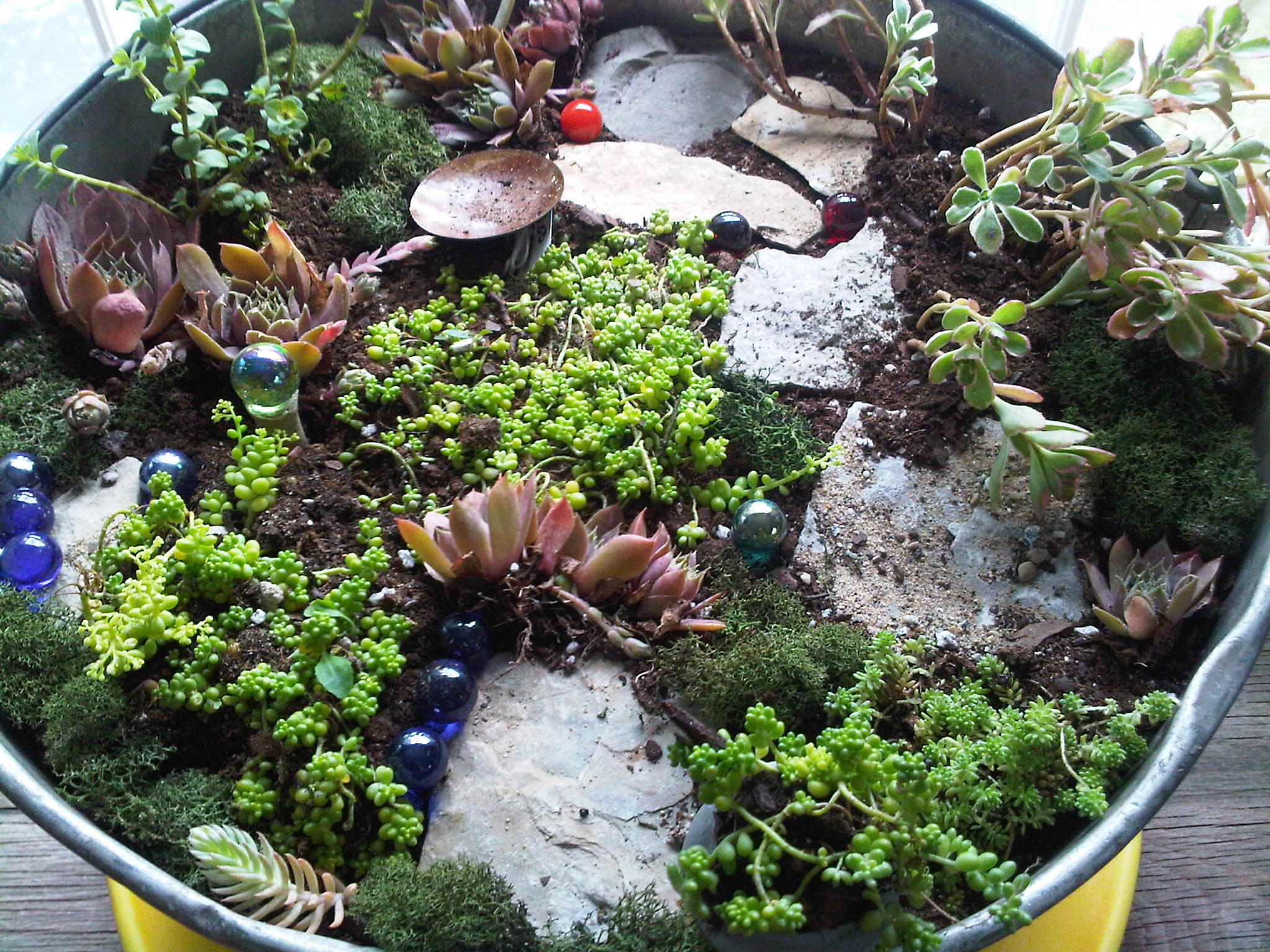 Fairy Garden Diy
 DIY Fairy Gardens