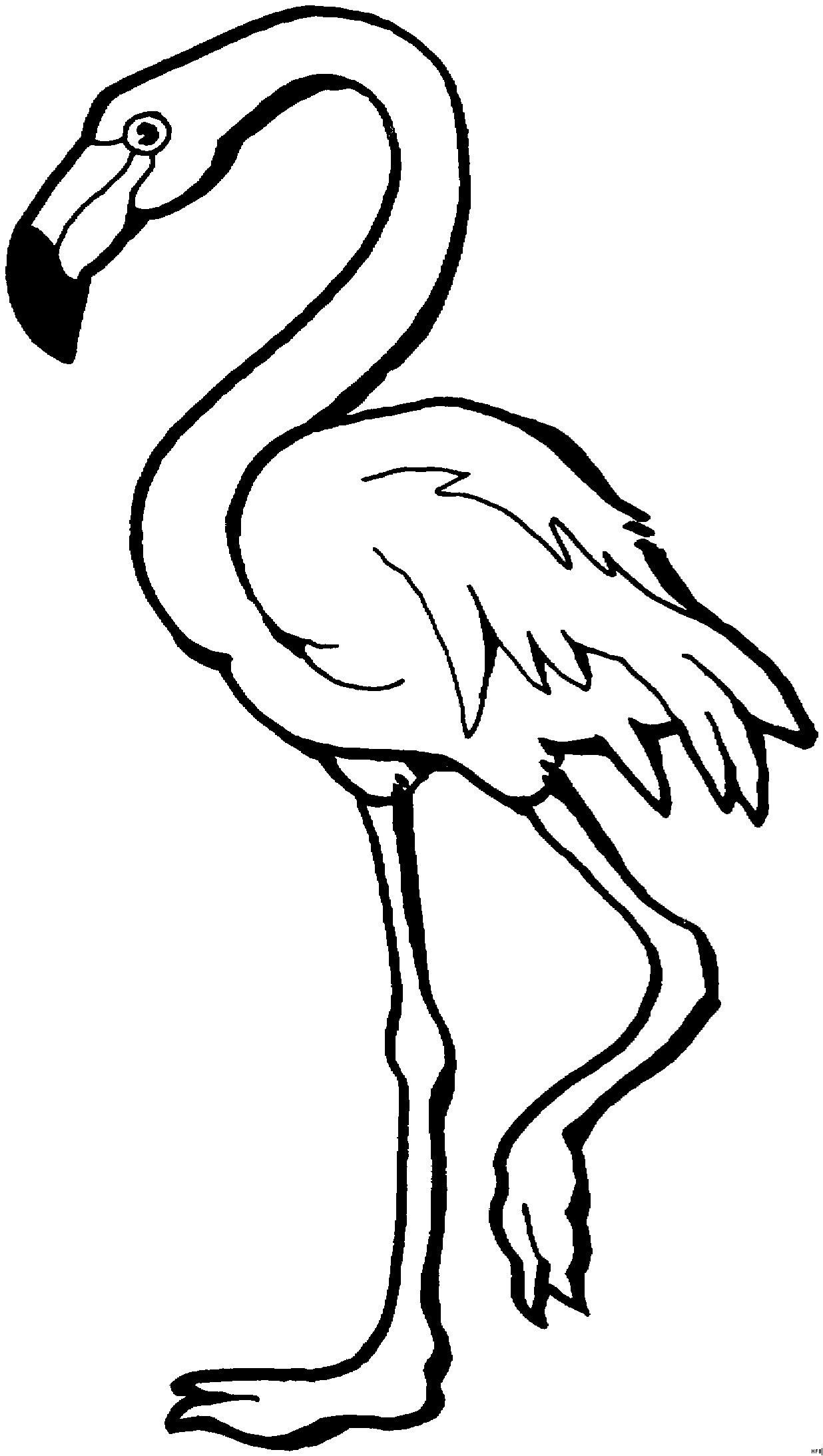 Flamingo Ausmalbilder
 Flamingo Schematisch Ausmalbild & Malvorlage Tiere