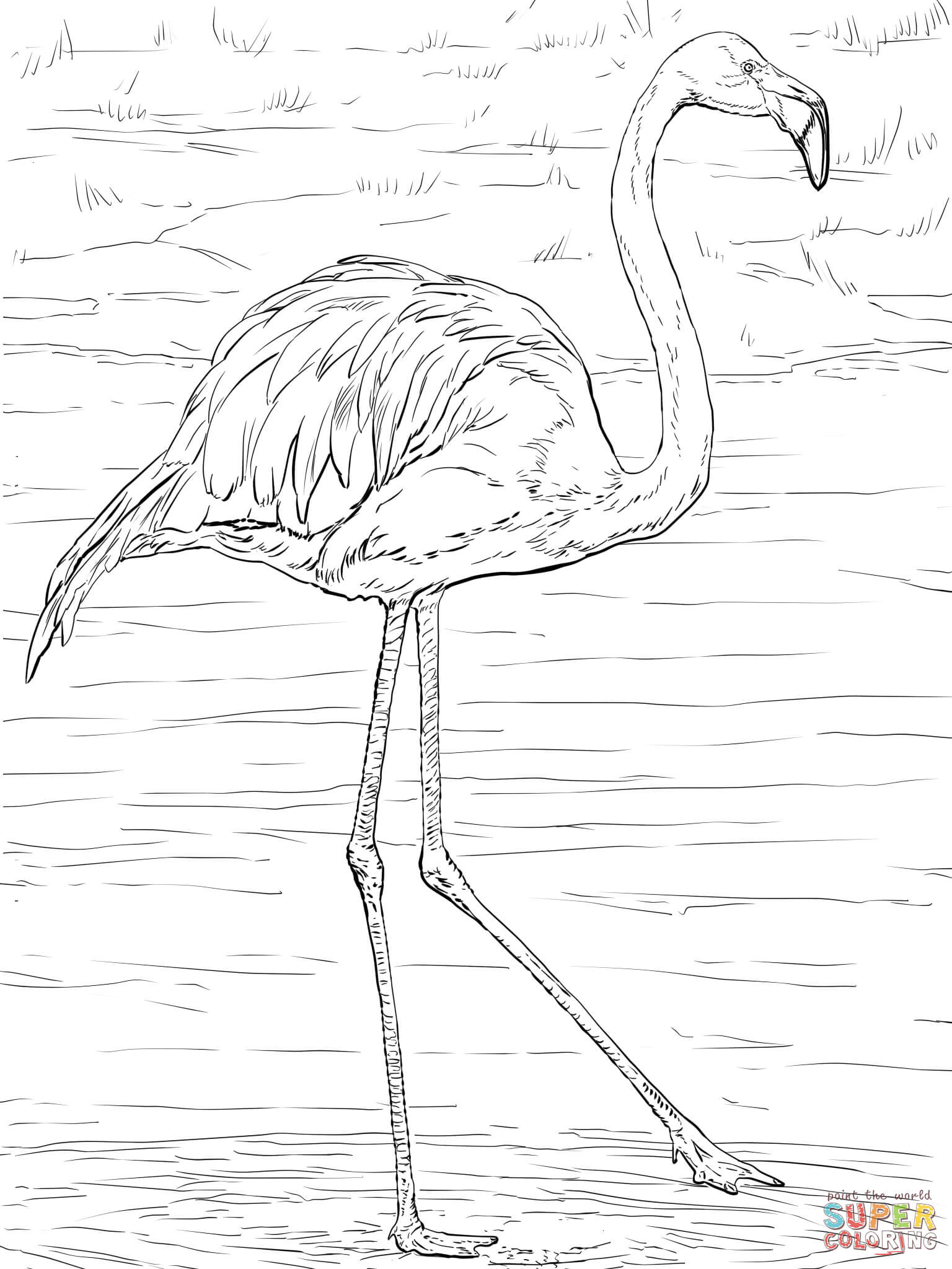 Flamingo Ausmalbilder
 Ausmalbild Kuba Flamingo