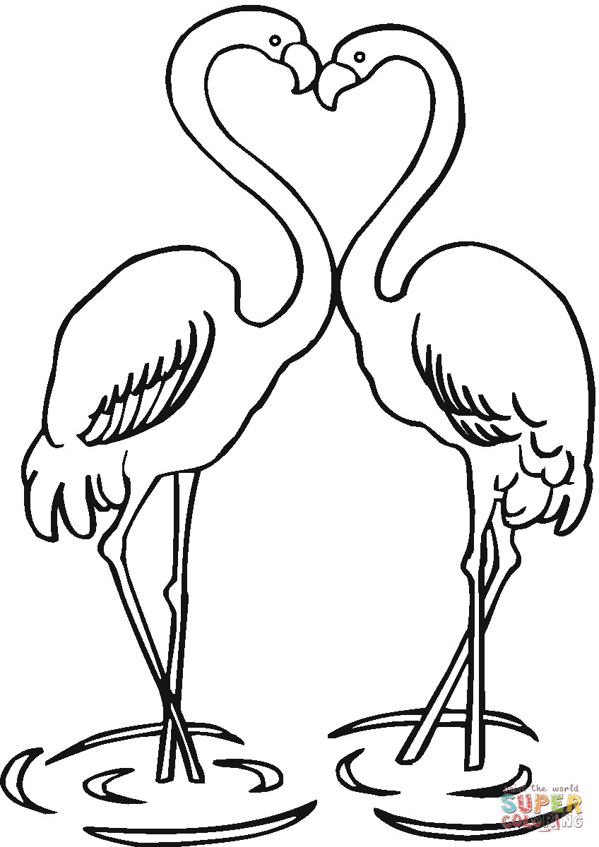 Flamingo Ausmalbilder
 Ausmalbild Ein Flamingo Pärchen