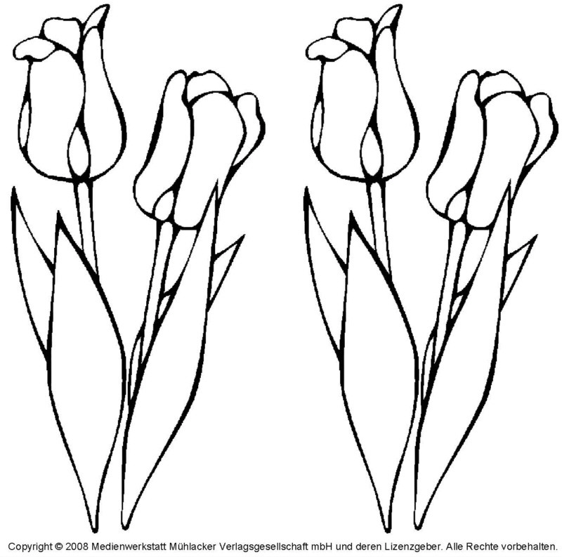 Frühlingsblumen Ausmalbilder
 Ausmalbilder frühlingsblumen kostenlos Malvorlagen zum