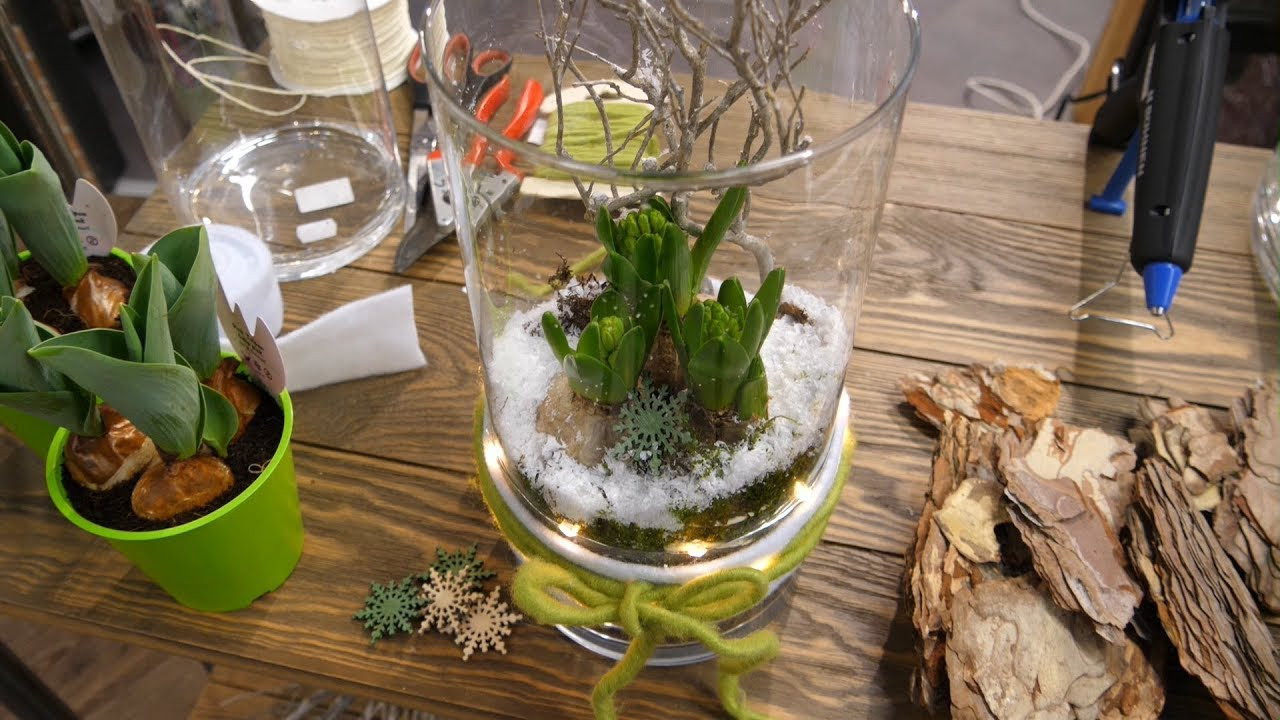 Frühlingsdeko Diy
 DIY Winterhafte Frühlingsdeko im Glas mit Hyazinthen und