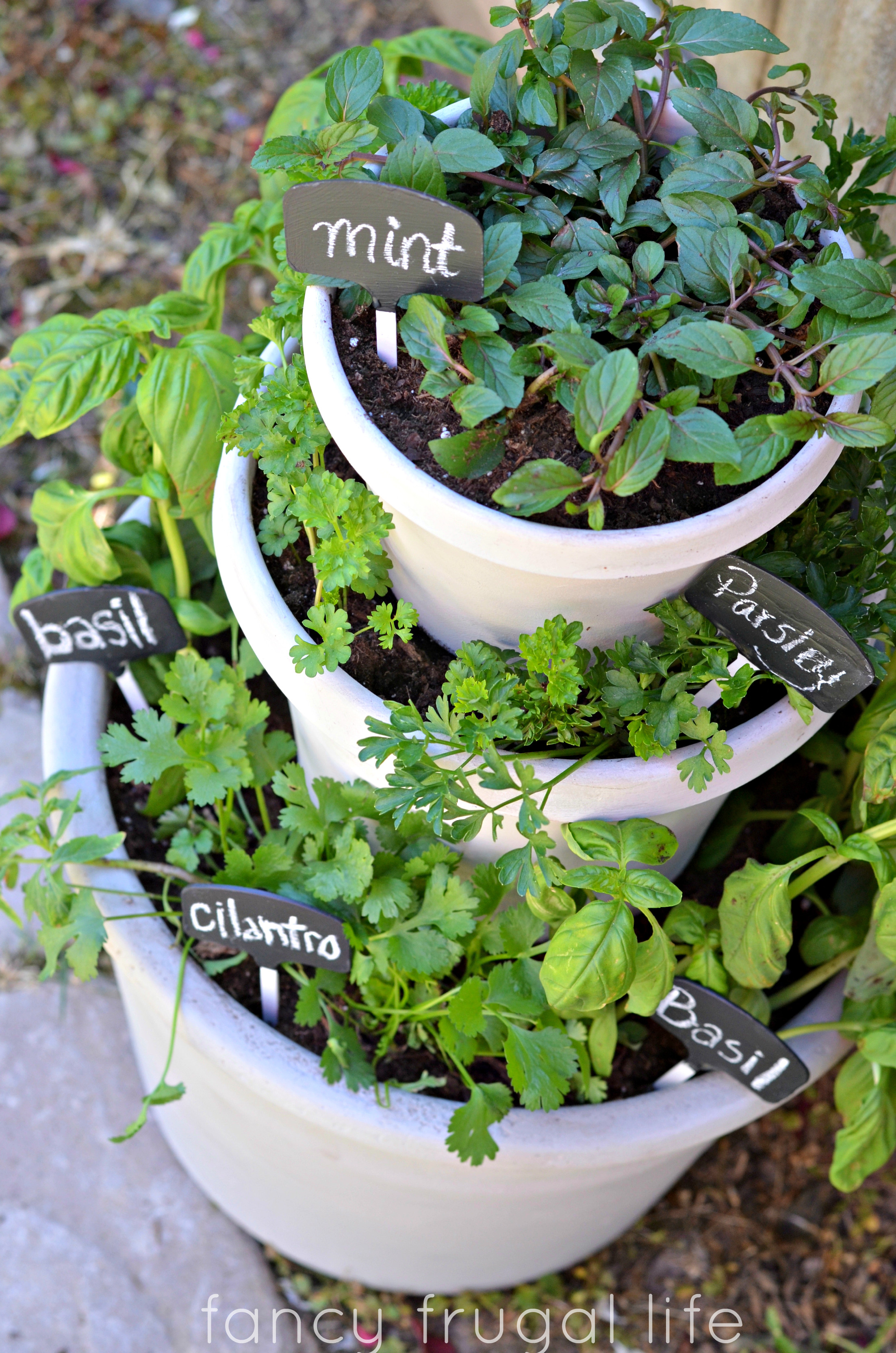 Garden Diy
 Outdoor Herb Garden Ideas The Idea Room