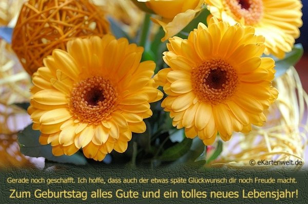 Geburtstag Blumen Spruch
 Zum Geburtstag alles Gute und ein tolles neues Lebensjahr