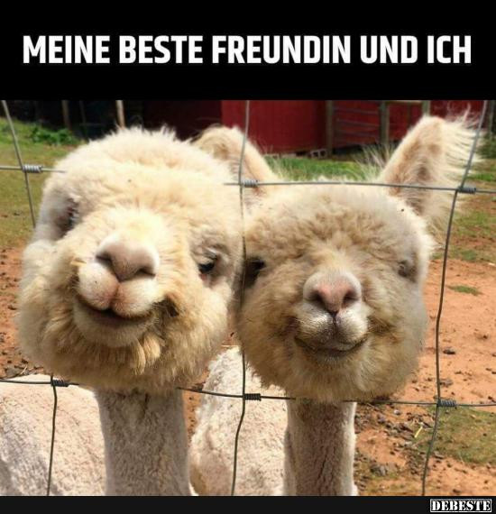 Geburtstagsbilder Beste Freundin
 18 lustige Bilder von Beste freundin