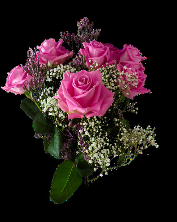 Geburtstagsbilder Blumen
 Geburtstag Blumen Valentinstag · Kostenloses Foto auf Pixabay