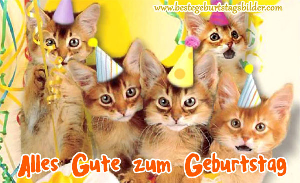 Geburtstagsbilder Frauen
 Geburtstagsbilder mit katzen Beste Geburtstagsbilder
