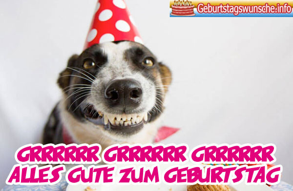 Geburtstagsbilder Frauen Lustig
 Geburtstagsbilder Lustig Wünsche zum Geburtstag