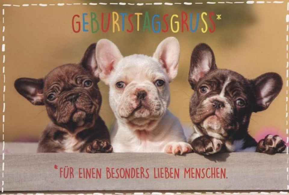 Geburtstagsbilder Hunde
 Geburtstagskarte Hunde