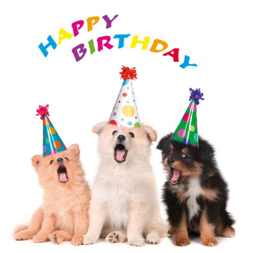 Geburtstagsbilder Hunde
 „DIE PARTY HUNDE“ Set mit 6 lustigen Einladungskarten für