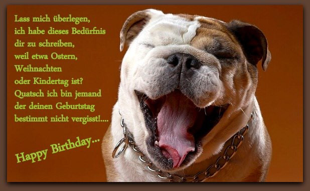 Geburtstagsbilder Hunde
 Witzige geburtstagsbilder Beste Geburtstagsbilder