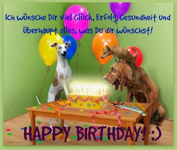Geburtstagsbilder Mit Hund
 Die 25 besten Ideen zu Alles gute zum geburtstag hund auf