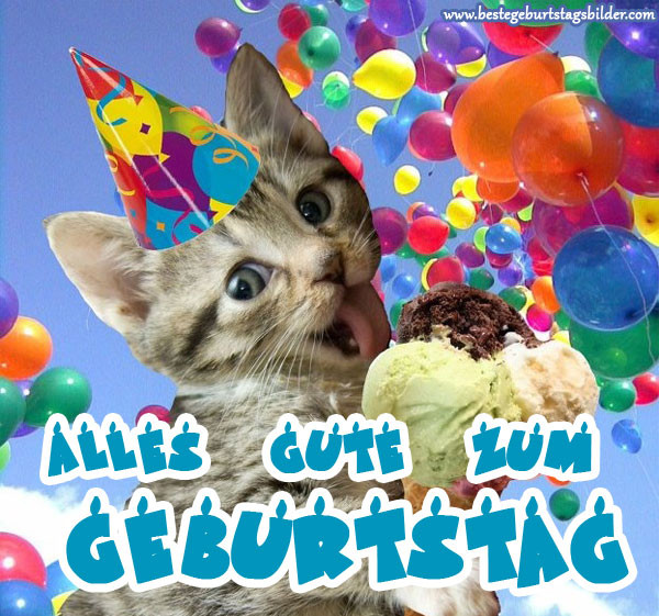 Geburtstagsbilder Mit Katzen
 Geburtstagsbilder mit katzen Beste Geburtstagsbilder