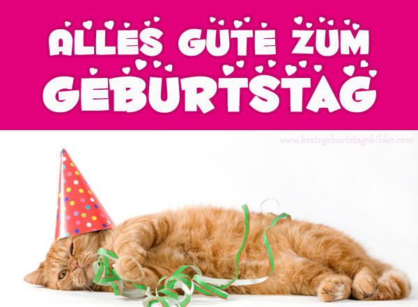 Geburtstagsbilder Mit Katzen
 Geburtstagsbilder mit katzen Beste Geburtstagsbilder