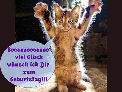 Geburtstagsbilder Tiere
 Die besten 25 Alles gute zum geburtstag tiere Ideen auf