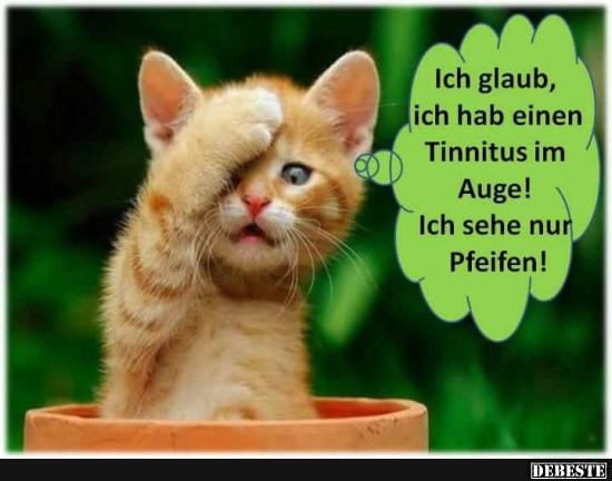 Geburtstagsbilder Tiere
 Ich glaub ich hab einen Tinnitus im Auge