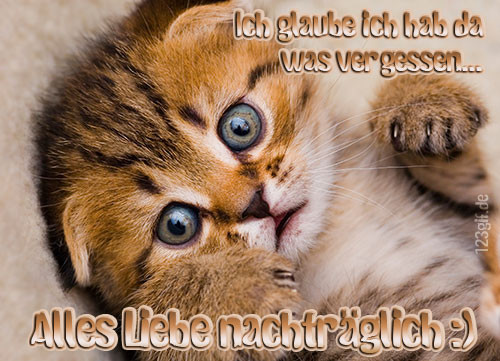 Geburtstagsbilder Tiere
 Alles Gute nachträglich