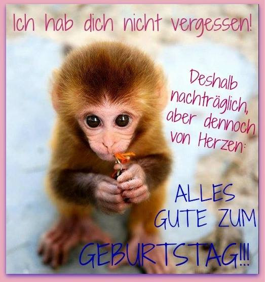 Geburtstagsbilder Tiere
 Ich hab dich nichch hab dich nicht vergessen Deshalb