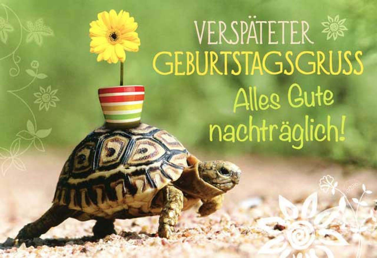 Geburtstagsglückwünsche Bilder Kostenlos
 Alles Gute Zum Geburtstag