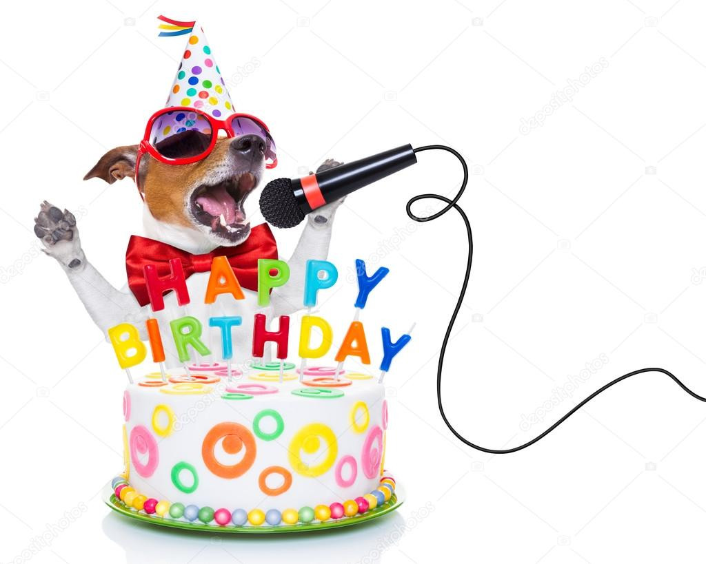 Geburtstagsgruß Animiert
 happy birthday dog — Stock © damedeeso