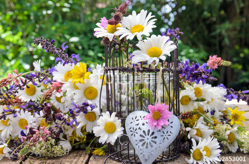 Geburtstagsgruß Bilder
 "Herzlicher Geburtstagsgruß mit Wiesenblumen" Stockfotos