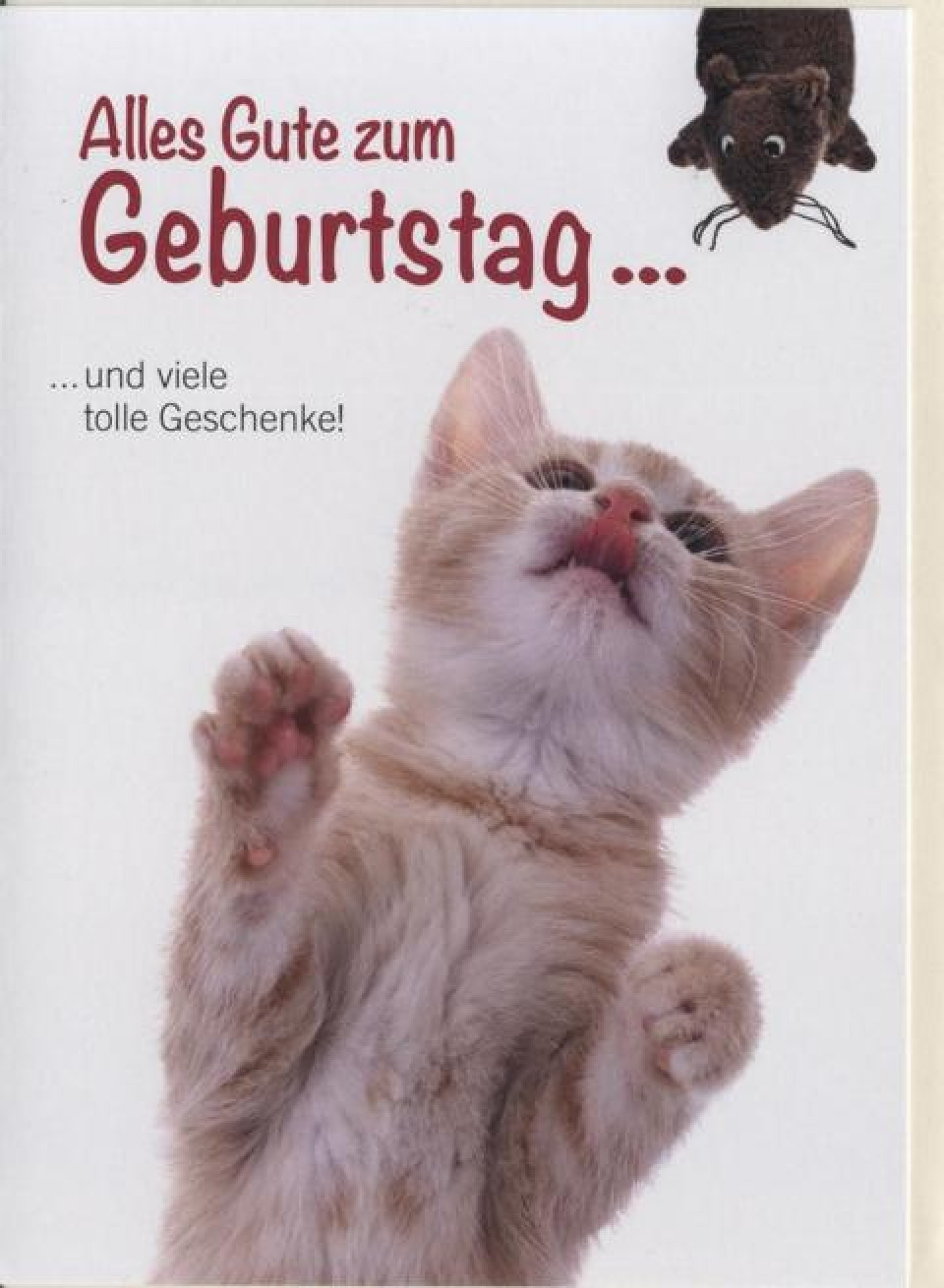 Geburtstagskarten Lustig
 Geburtstagskarte Tiere Katze und viele tolle Geschenke