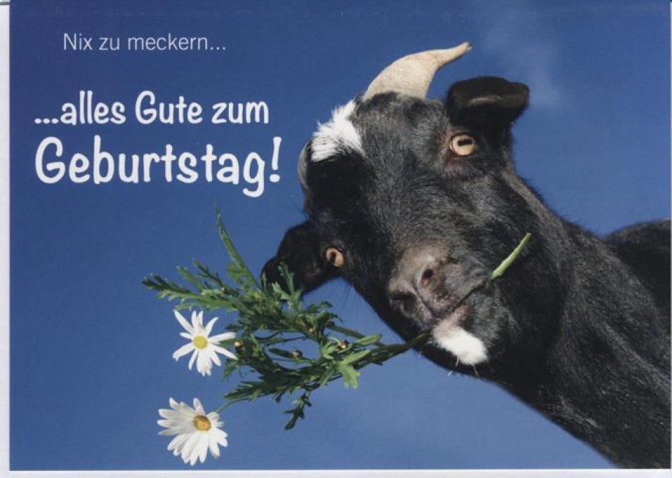 Geburtstagskarten Lustig
 Geburtstagskarte lustig Kuh Tiermotiv Nix zu meckern