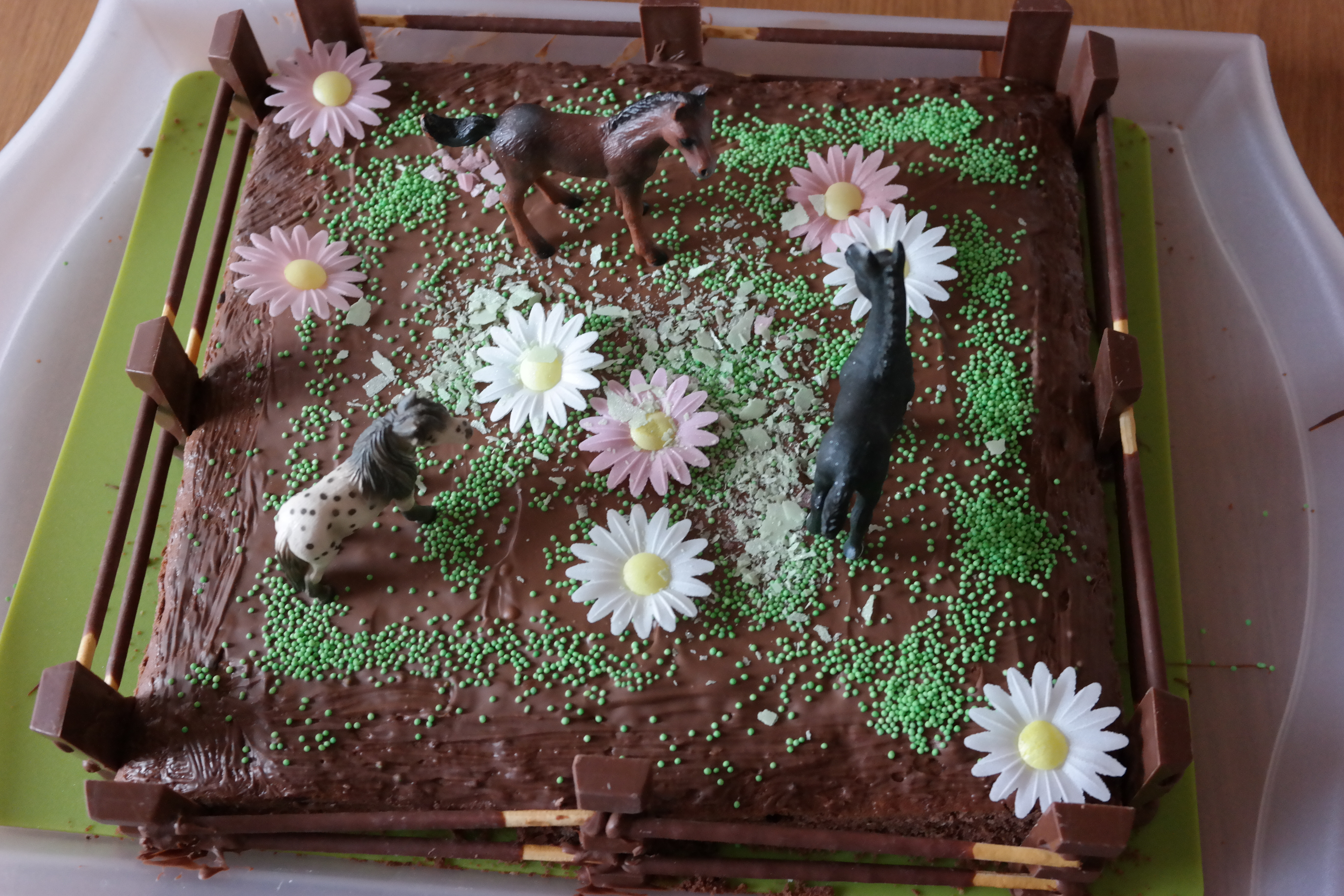 Geburtstagskuchen Für Mädchen
 Pferdekoppel Torte