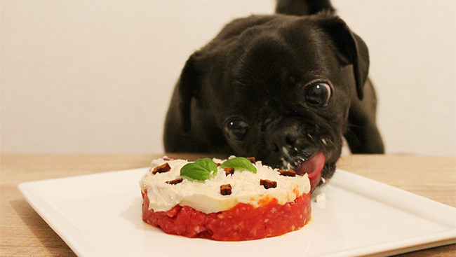 Geburtstagskuchen Hund
 Hunde Geburtstagskuchen – Hackfleischtorte mit Frischkäse