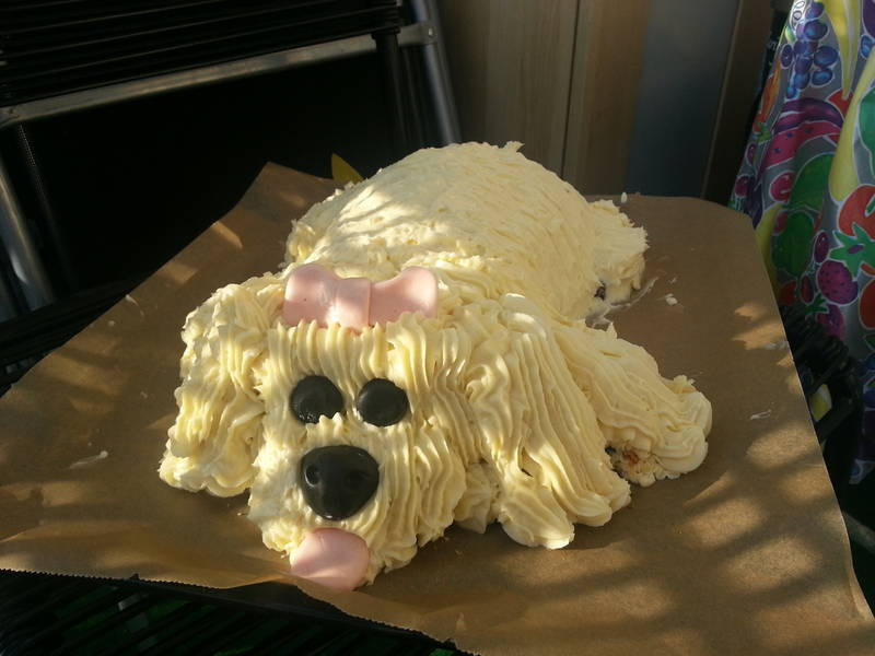 Geburtstagskuchen Hund
 Geburtstagskuchen Für Hunde — Rezepte Suchen
