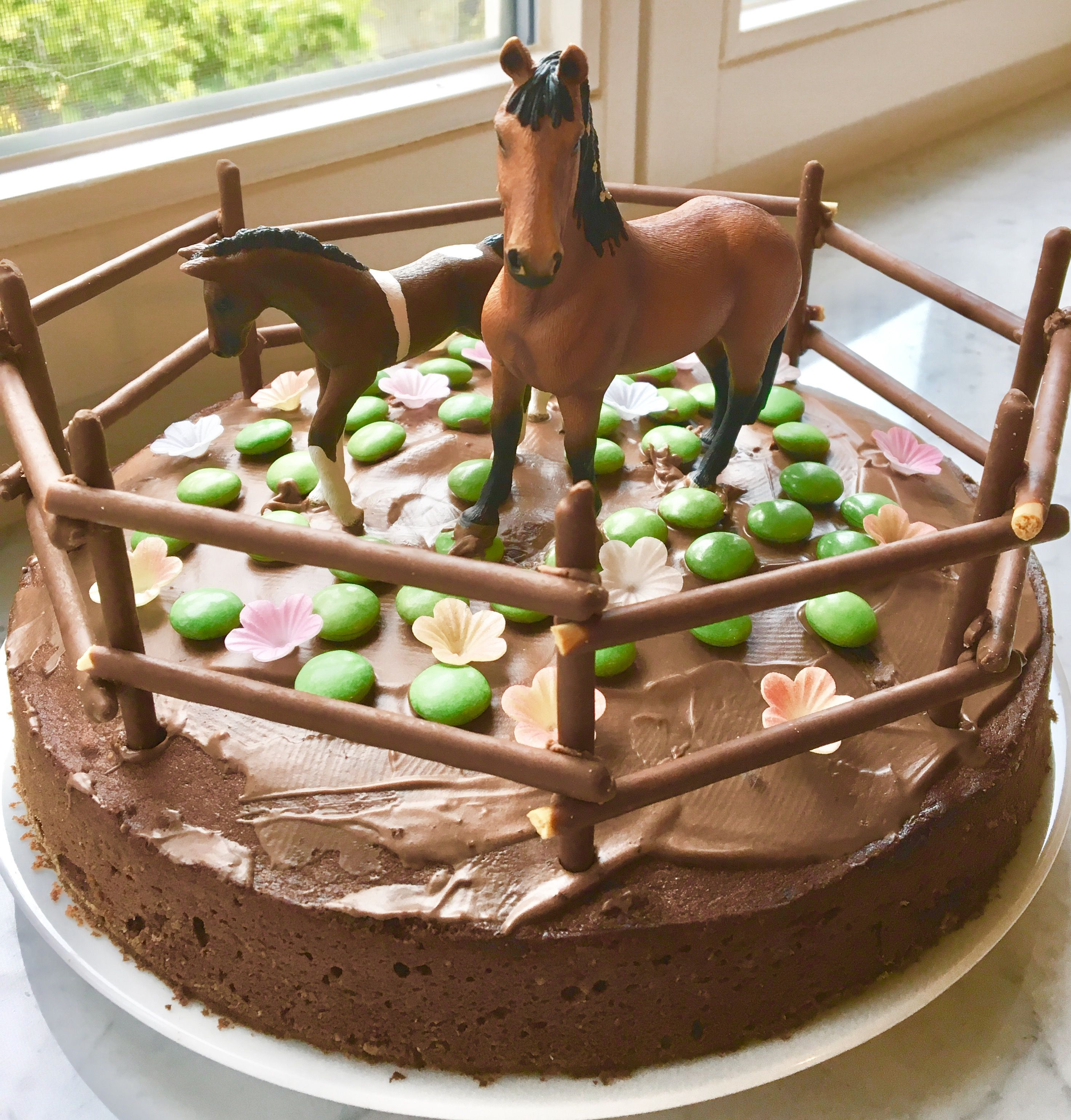 Geburtstagskuchen Pferd
 Pferdekoppel Kuchen Süßes Pinterest