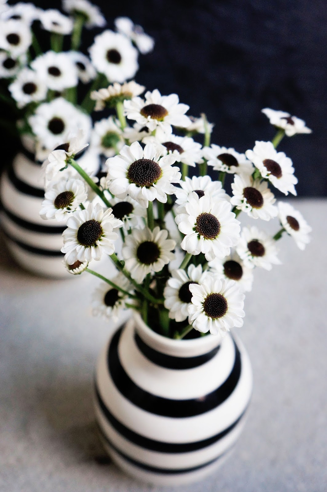 Geburtstagskuchen Schwarz Weiß
 basteln malen Kuchen backen Blumen schwarz weiss