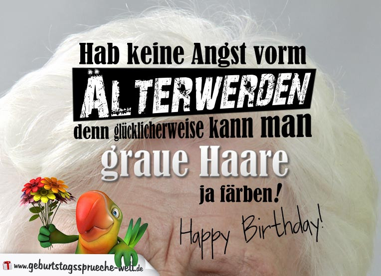 Geburtstagsspruche
 Geburtstagssprüche zum Geburtstag lustig Graue Haare