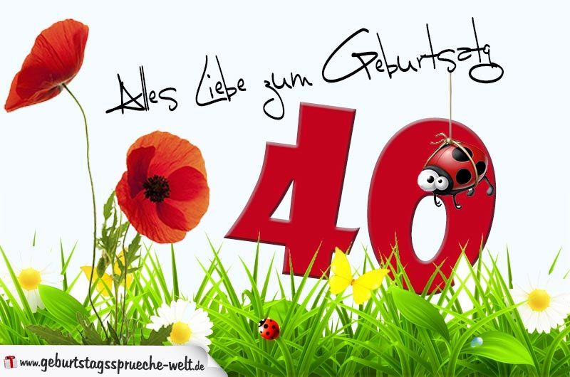 Geburtstagssprüche Zum 40
 Geburtstagskarte mit Blumenwiese zum 40 Geburtstag